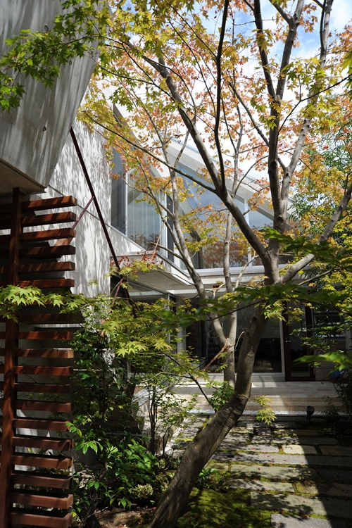 03：中庭・居間をみる